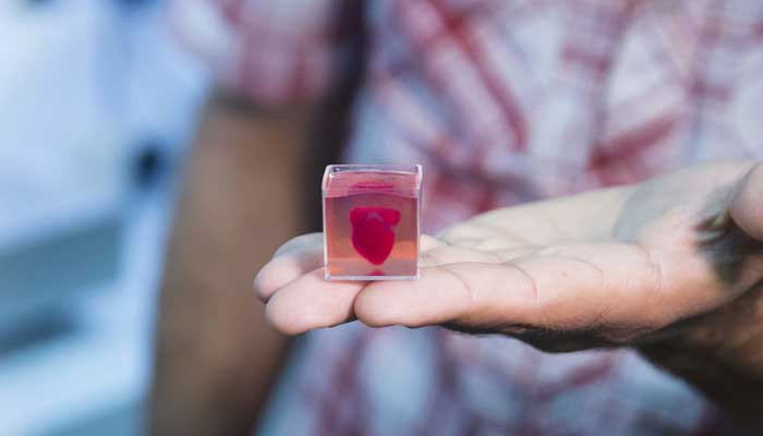 انسانی ریشوں اور شریانوں کےساتھ پہلا 3Dپرنٹ دل تیار