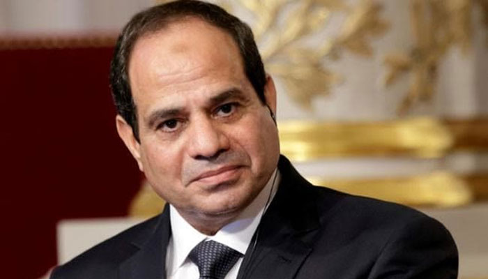 مصر، السیسی صدارتی ریفرنڈم میں کامیاب