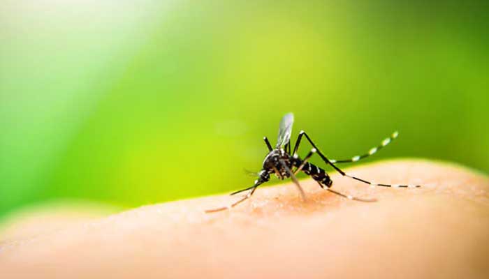   ملیریا سے بچاؤ کا عالمی دن