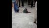Video Viral Of A Woman Patient Whom Dragging