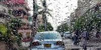 Punjab Rain Lashes In Different Cities