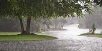 Rain In Lahore