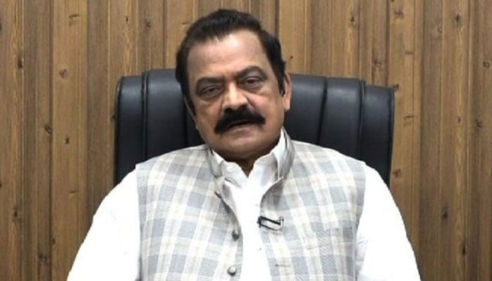 فردوس باجی دو نعروں کی تیاری کریں ، رانا ثناء