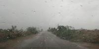 First Rain In Tharparker