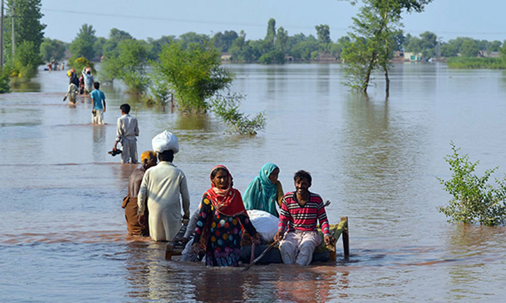 وزیرِ کھیل پنجاب کا سیلاب سے متاثرہ علاقوں کا دورہ
