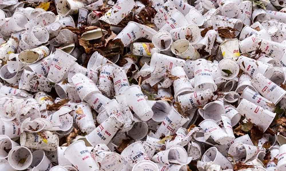 200 کروڑ کی شادی ماحول کیلئے خطرہ بن گئی