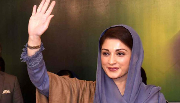 مریم نواز کے نائب صدر نہ بننے سے متعلق شق موجود نہیں