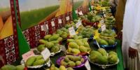 Mango Festival Kicks Off In Hyderabad Pakistan