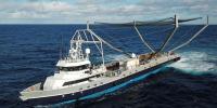 Successful Launch Fail Of A New Fishing Boat