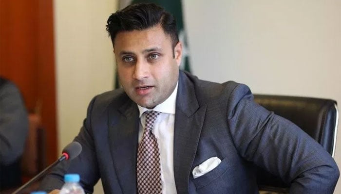 کرپشن کی ذمے دار بیورو کریسی ہے، زلفی بخاری