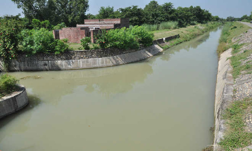 گھوٹکی: نہر میں ایک ہی خاندان کے 5 افراد ڈوب گئے