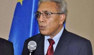 Us Should Play Role To Settle Kashmir Dispute Ali Raza