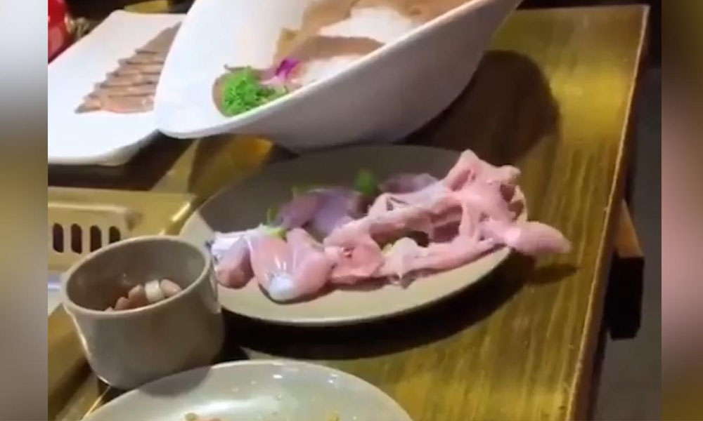 مرغی کےٹکڑے کی پلیٹ سے چھلانگ، ویڈیو وائرل