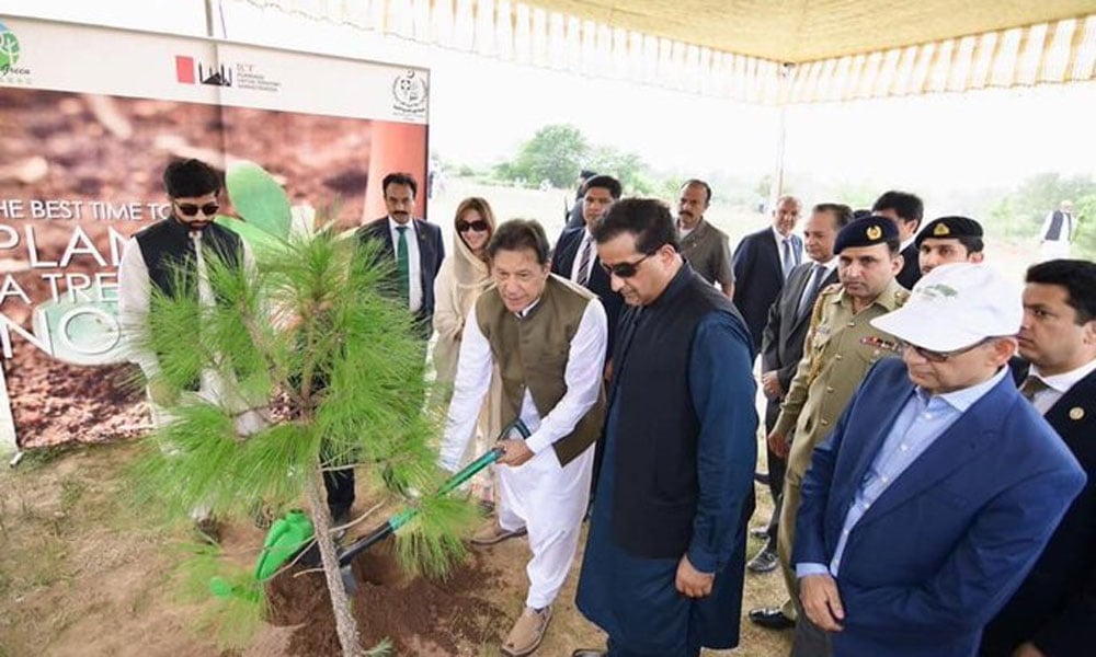 وزیر اعظم نے پودا لگا کر شجر کاری مہم کا افتتاح کر دیا