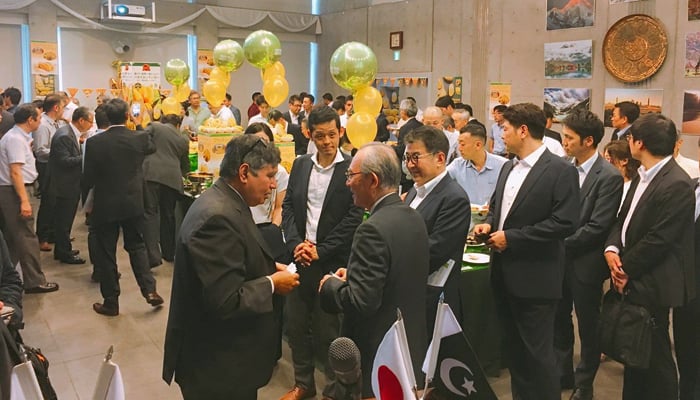 جاپان میں تیزی سے مقبول ہوتے پاکستانی آم 
