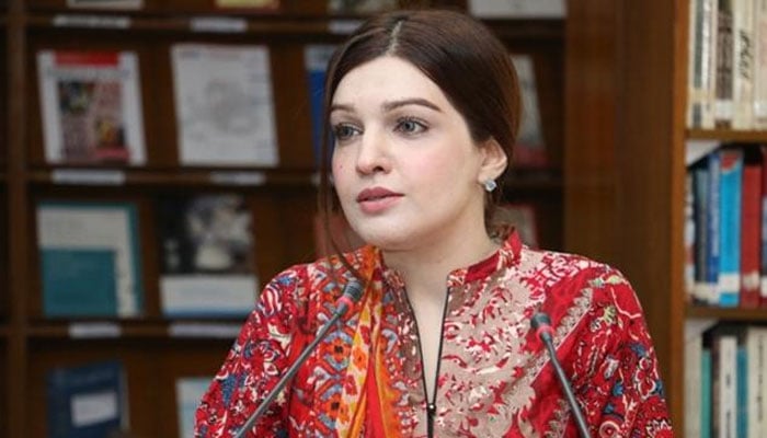 کشمیر دنیا کا سب سے بڑا مسئلہ بن چکا ہے،مشال ملک 