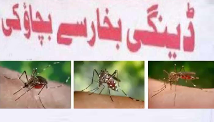  مرحوم ڈاکٹر کو ڈینگی اجلاس میں شرکت کی دعوت