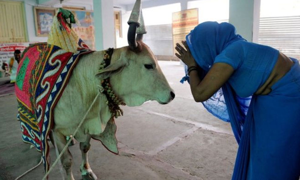 ہندوستانیوں کو ایٹم بم سے گائے کا گوبر بچائے گا، بھارتی سیاستدان
