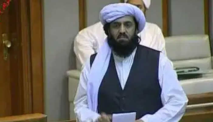 حافظ حمد اللہ کی پاکستانی شہریت منسوخ