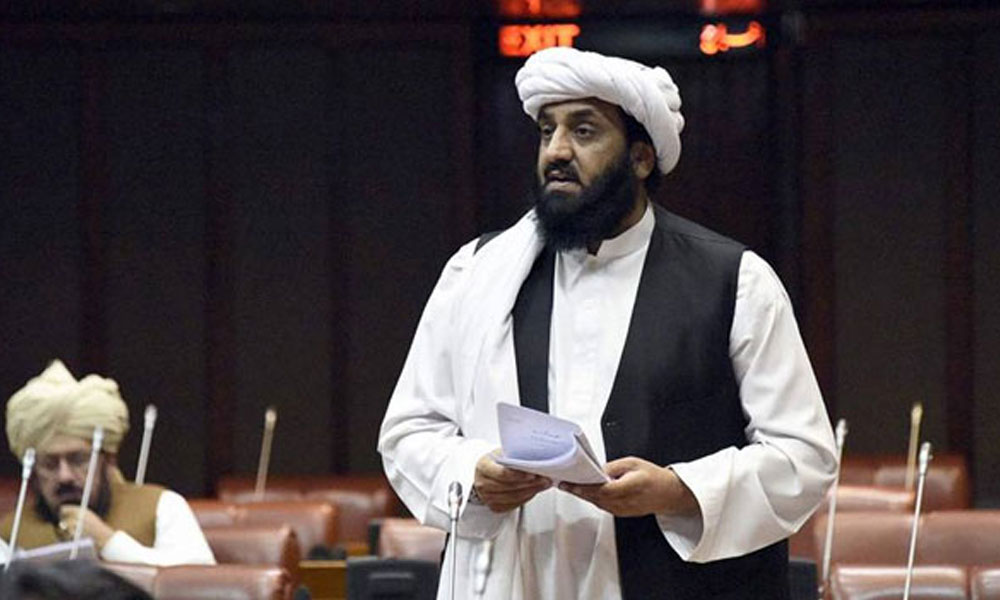  حافظ حمد اللّٰہ کی شہریت منسوخی کا فیصلہ معطل