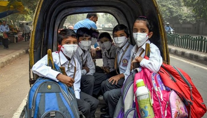 بھارت میں فضائی آلودگی، بتوں نے بھی ماسک پہن لیے 