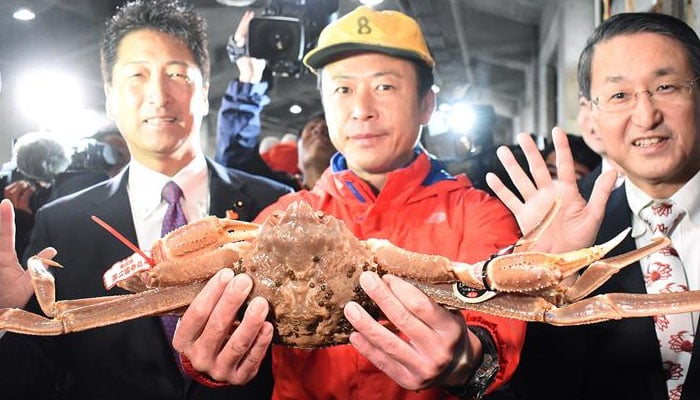 جاپان میں برفانی کیکڑا، ریکارڈ قیمت میں فروخت