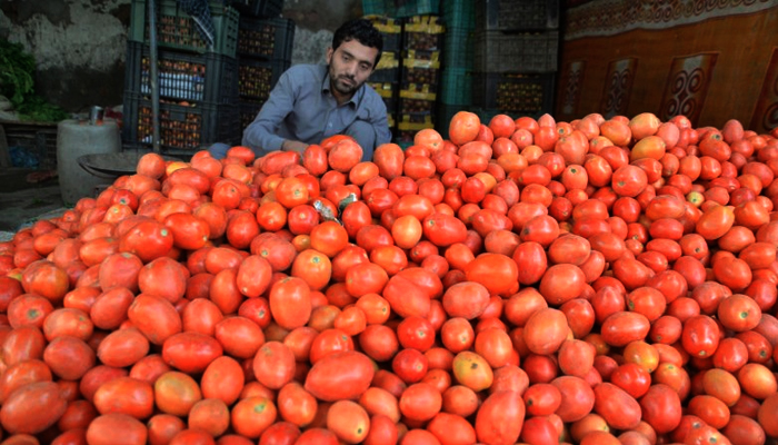 سندھ میں ٹماٹر کی قیمتیں نیچے نہ آسکیں