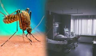 Dengue Kills 2 More People In Karachi