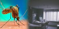 Dengue Kills 2 More People In Karachi