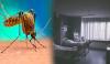 Dengue Kills 2 More People In Karachi