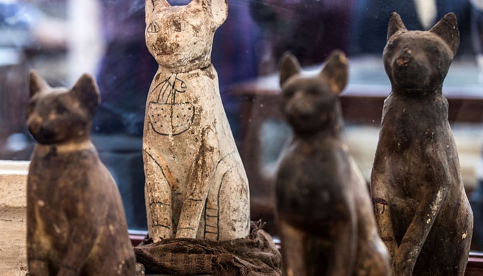 مصر میں جانوروں کی حنوط شدہ لاشیں دریافت 