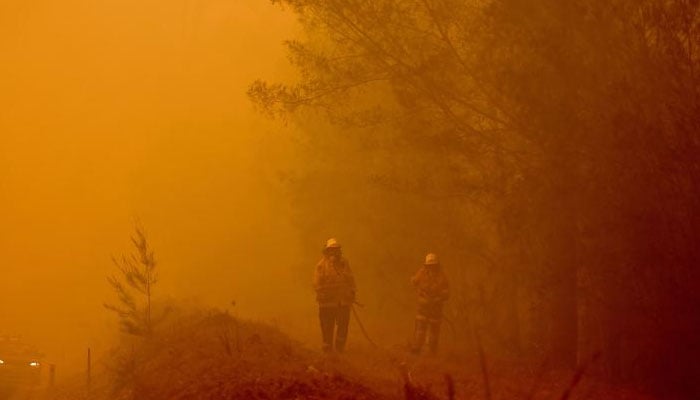 آسٹریلیا کے جنگلات میں لگی آگ بے قابو