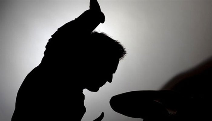 خاتون پر بدترین تشدد کاکیس، ملزمان کو پیش کرنے کا حکم