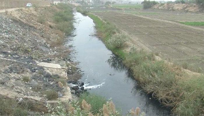 کراچی کے شہری آلودہ پانی سے کاشت کی گئی سبزیاں کھانے پر مجبور 