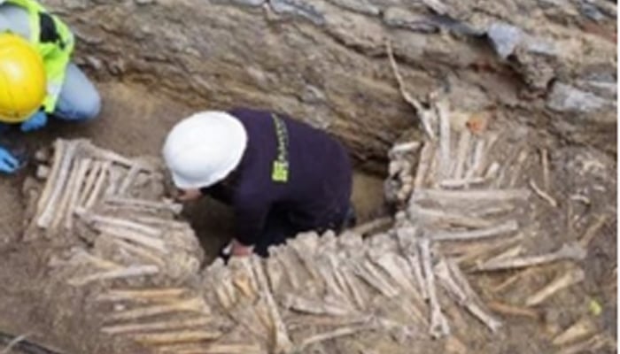 بیلجیئم، چرچ میں انسانی ہڈیوں سے بنی دیوار دریافت