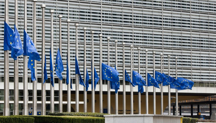 حقوق انسانی کا تحفظ ایجنڈے پر سر فہرست ہوگا، یورپی یونین