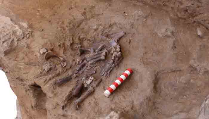 عراق: 70 ہزار سال پرانا انسانی ڈھانچہ دریافت