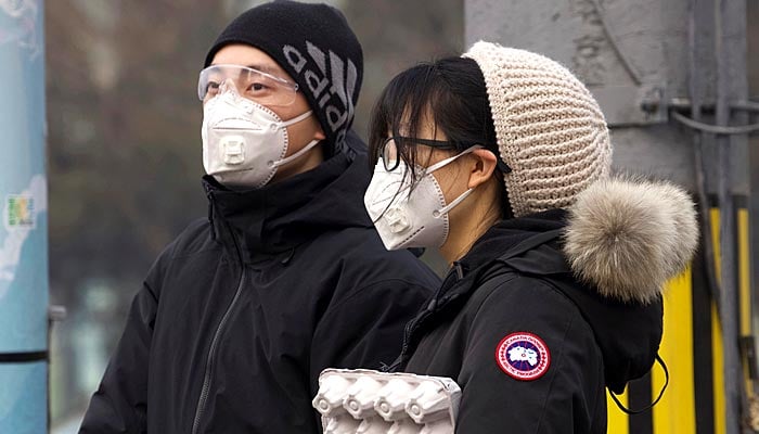 کورونا وائرس: جاپانی نظم چینی باشندوں کیلئے مرہم 