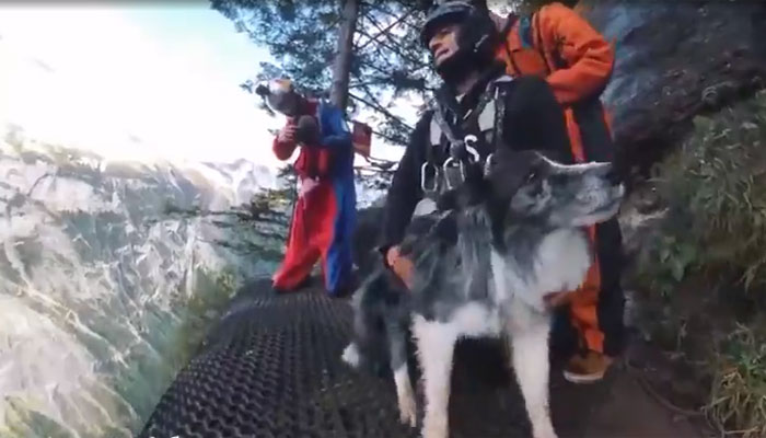 ایڈونچر کے شوقین کتے کی دو ہزار فٹ بلندپہاڑ سے جمپ