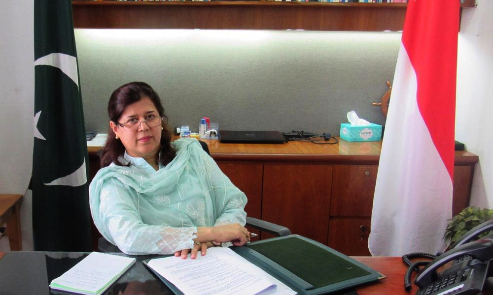 پاکستانیوں کی ملک کے لیے خدمات قابل تعریف ہیں، رخسانہ افضال