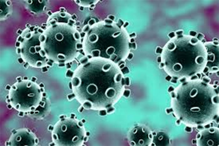بلوچستان میں کورونا وائرس کے 3 نئے کیسز سامنے آگئے