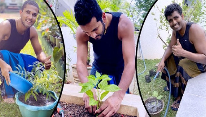 سری لنکن کھلاڑیوں نے باغبانی کا مشغلہ اپنالیا