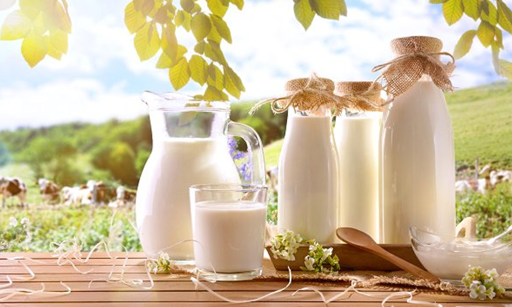 کیلشیم، پروٹین سے بھر پور دودھ گائے کا یا بھینس کا ؟