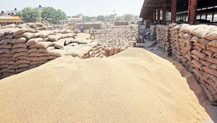 سندھ میں گندم کا بحران نہیں، وافر مقدار میں موجود ہے، سیکریٹری خوراک