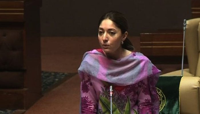 سندھ اسمبلی، شرمیلا فاروقی نے اسمبلی رکنیت کا حلف لے لیا 