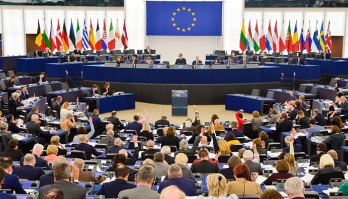 یورپین پارلیمنٹ کے اراکین کا بھارت کے ساتھ مسئلہ کشمیر اٹھانے کا مطالبہ