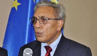 شہید شجاعت بخاری کو نڈر کشمیری صحافی کے طور پر یاد رکھا جائے گا، علی رضا سید