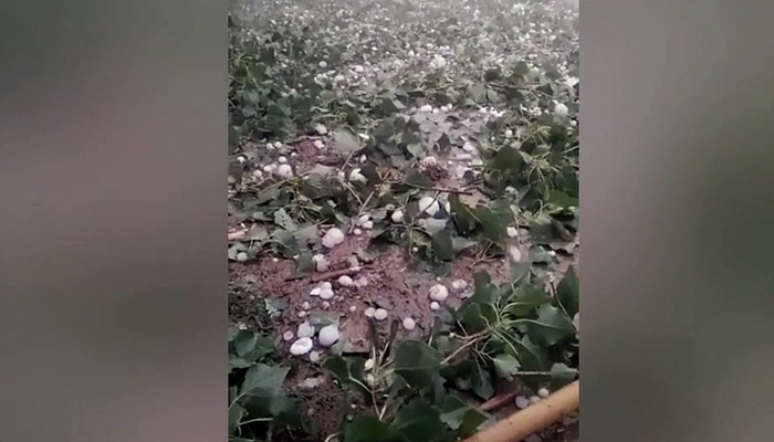 چین کے شہر باؤڈنگ میں انڈوں کے سائز کی ژالہ باری
