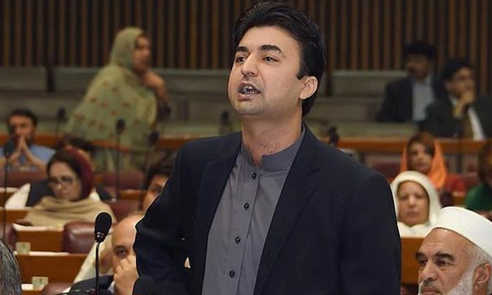 بھٹو کی اصل وارث زرداری نہیں فاطمہ بھٹو ہے، مرادسعید
