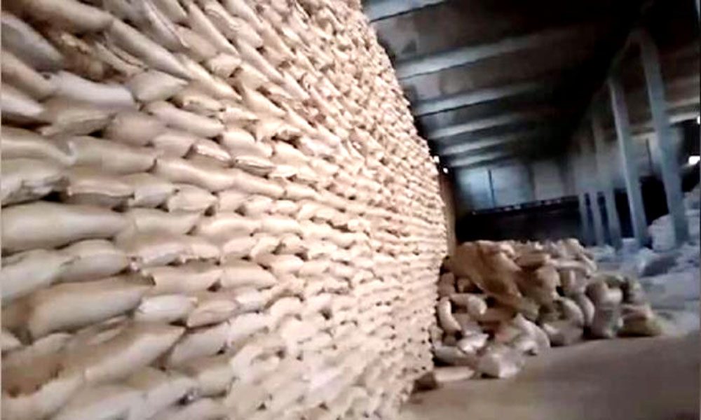 سندھ سے غیر قانونی طور پر گندم پنجاب منتقل